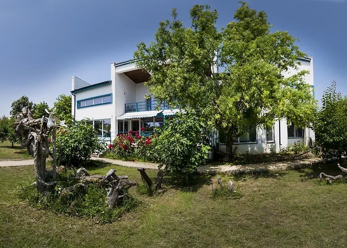 Seaman's House バドゥ